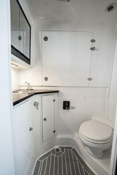 2024 Cigarette 42 Auroris