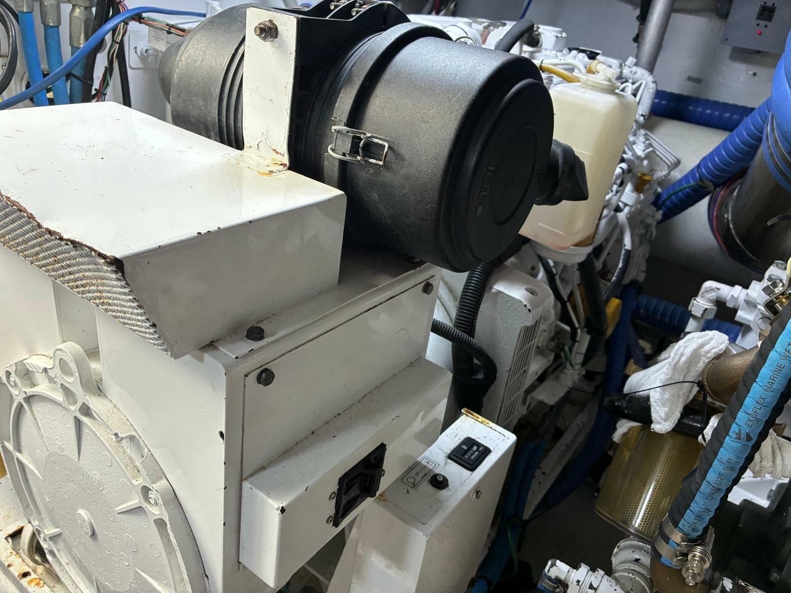 2001 Buddy Davis SPORTFISH