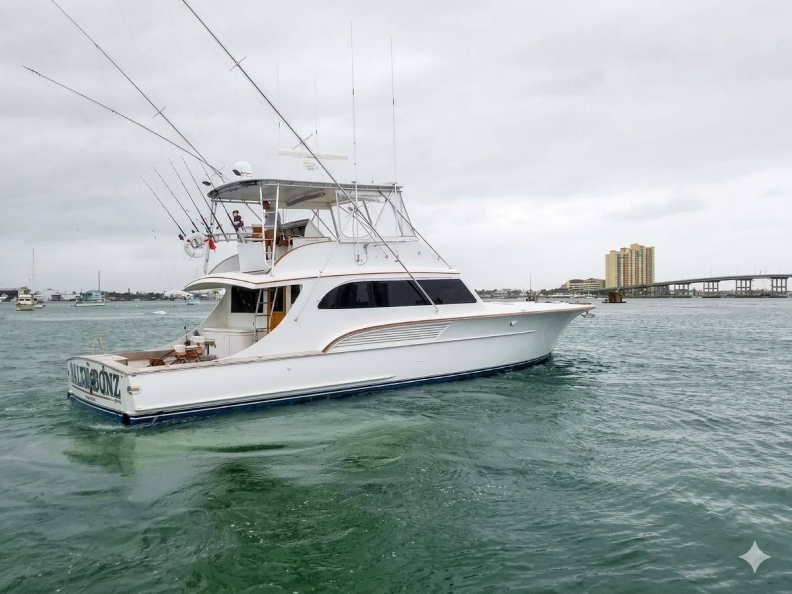 2001 Buddy Davis SPORTFISH - Photo 86