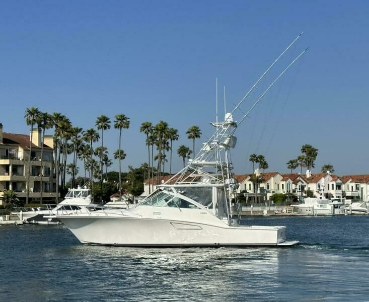 2006 Cabo 40 Express - BUZZ CATCHER