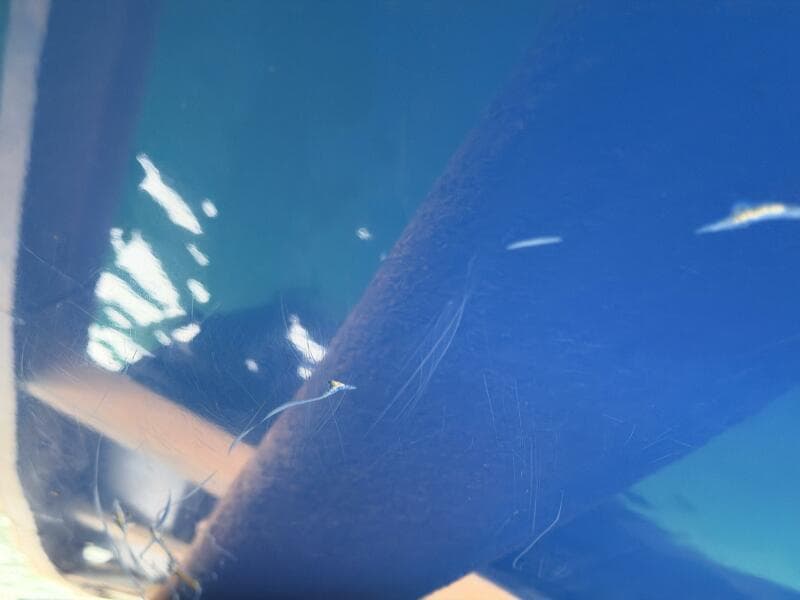 2006 Correct Craft Air Nautique SV-211 Team Edition