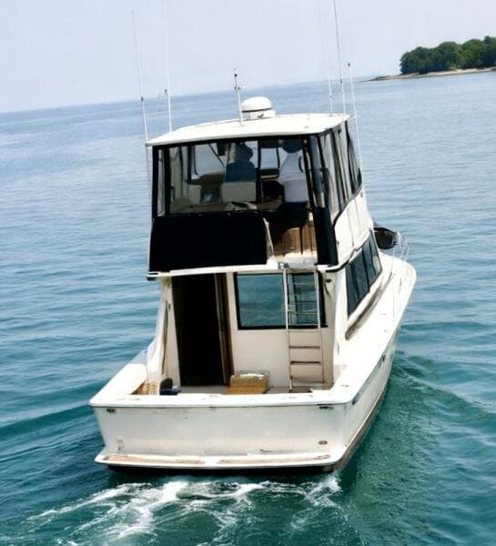 1986 Viking Convertible