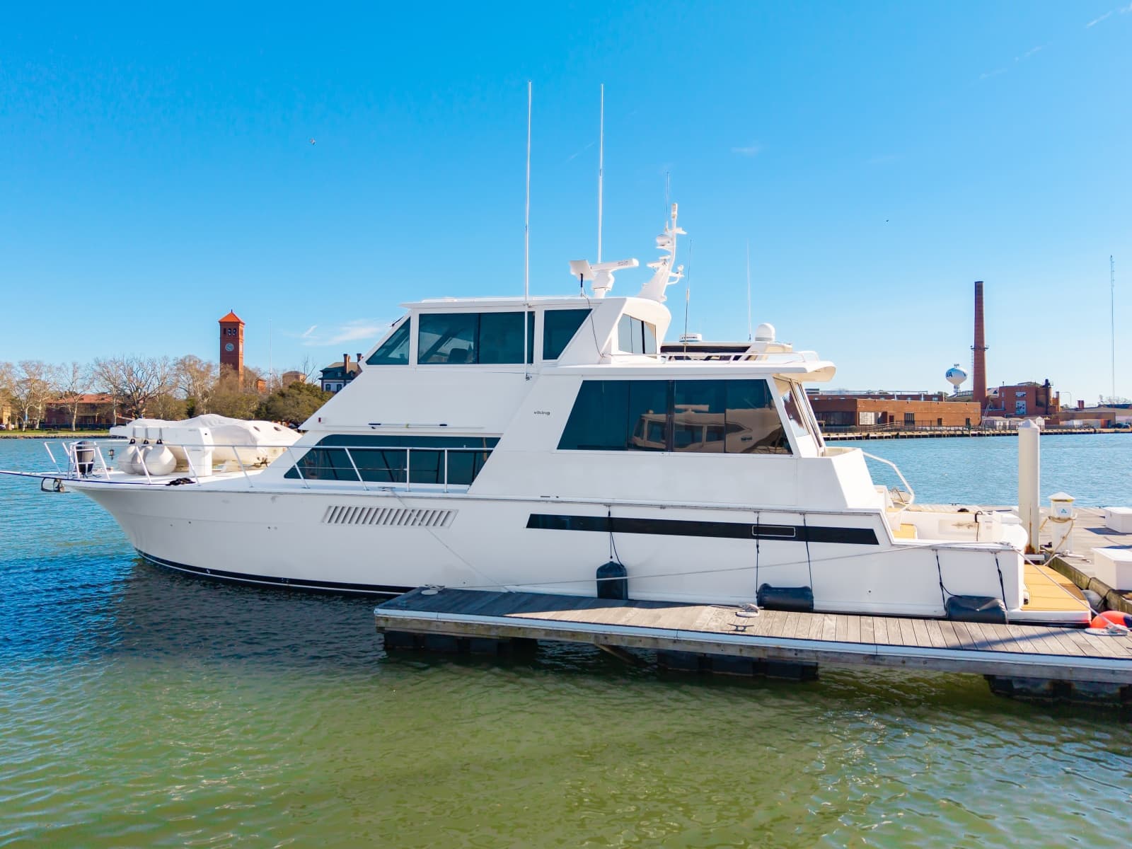 60 Viking Dark Horse 2