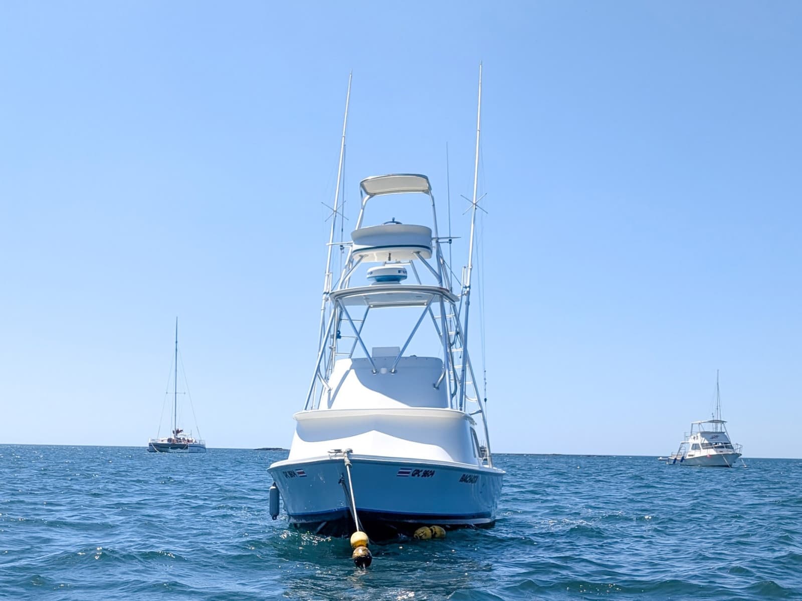 1973 Bertram Sportfisher