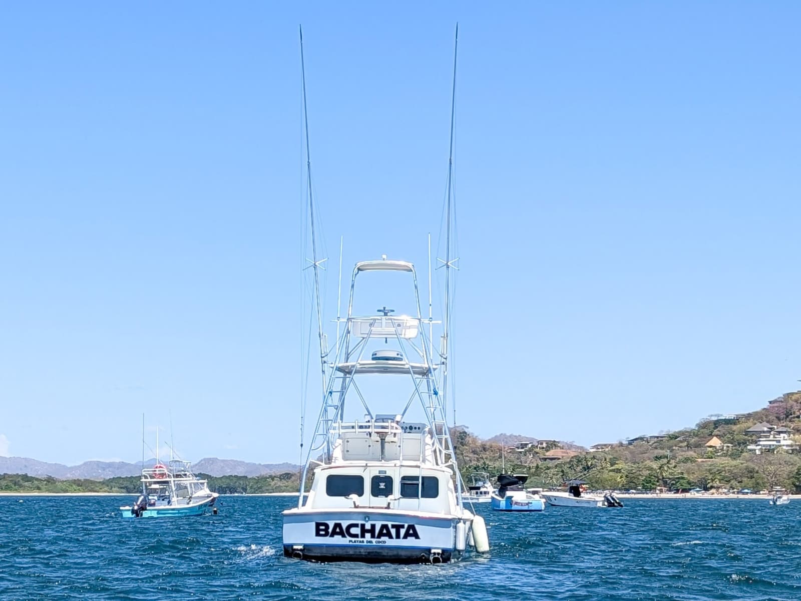 1973 Bertram Sportfisher