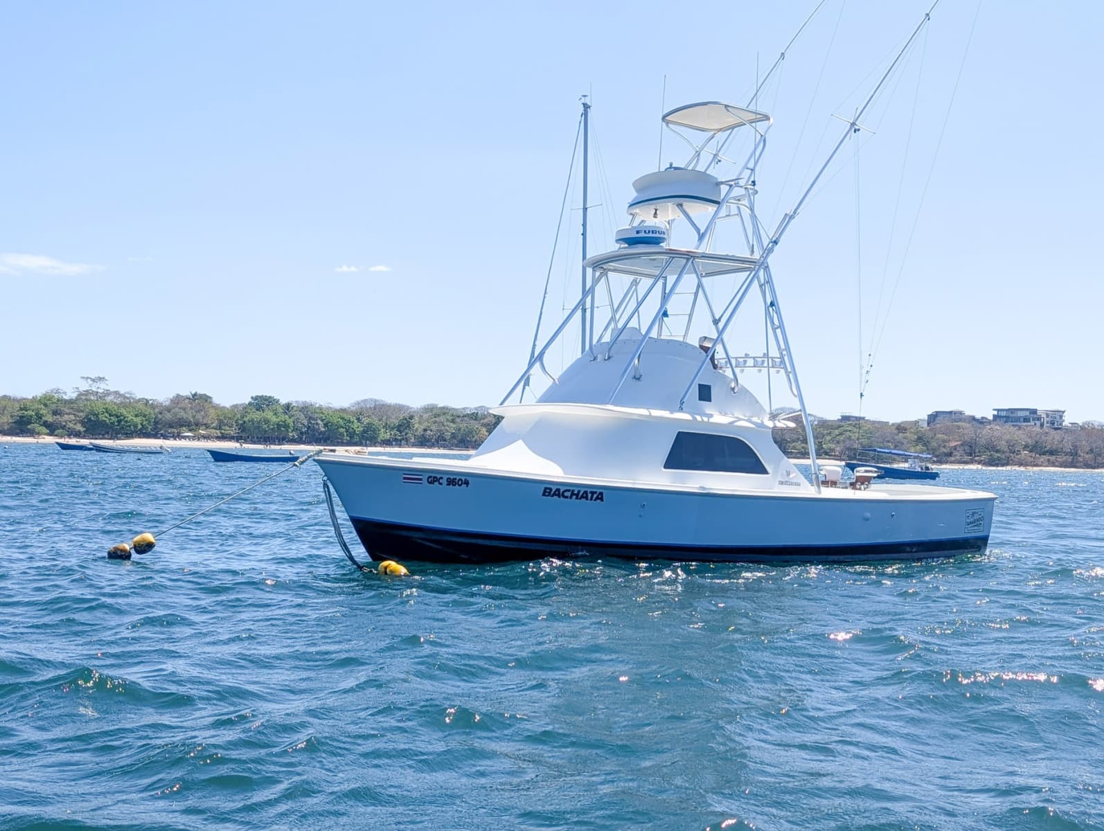 1973 Bertram Sportfisher