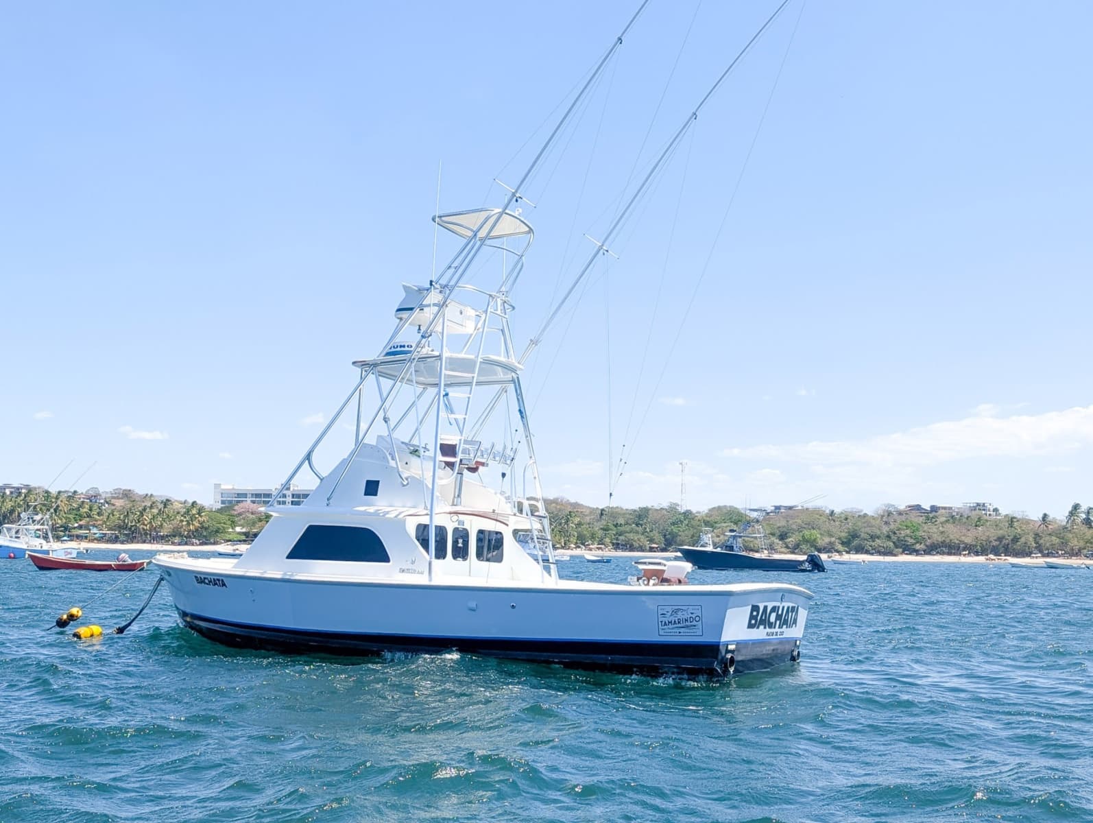 1973 Bertram Sportfisher