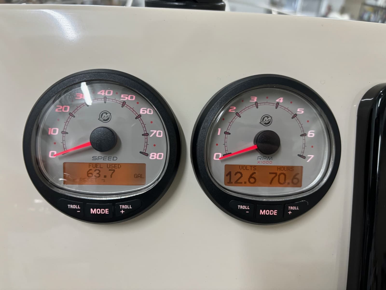 2024 Boston Whaler 250 Dauntless