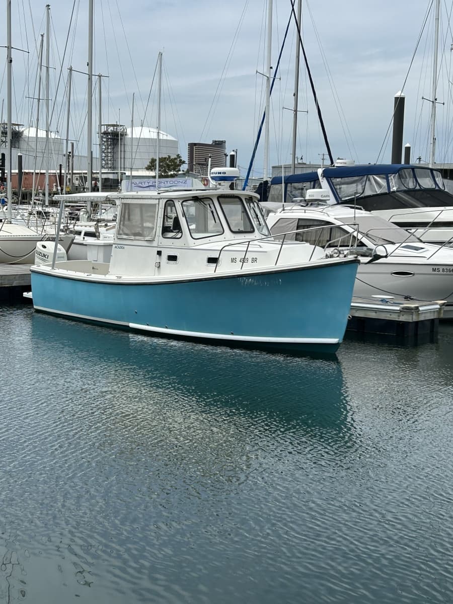 2018 Atlas  - Photo 2