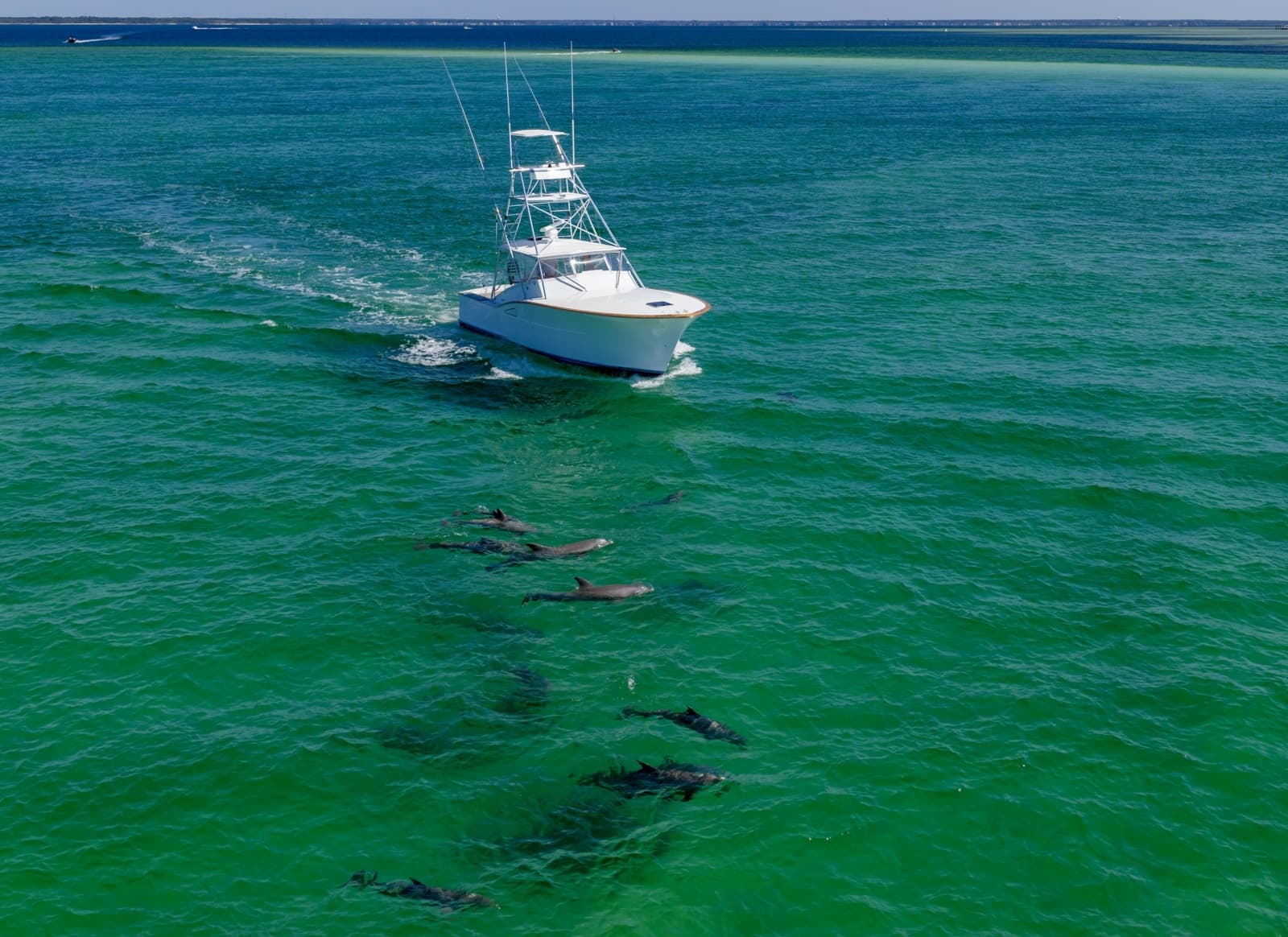 1994 Daytona Custom Carolina Express