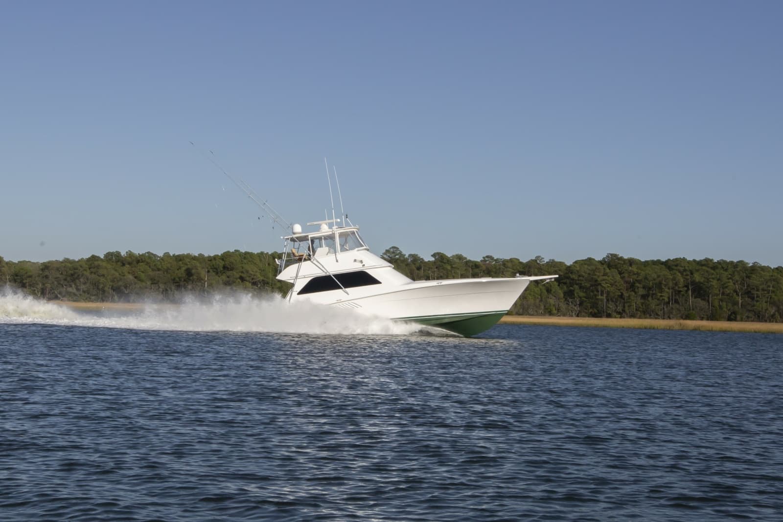 Viking 5- Lady S - Exterior Profile