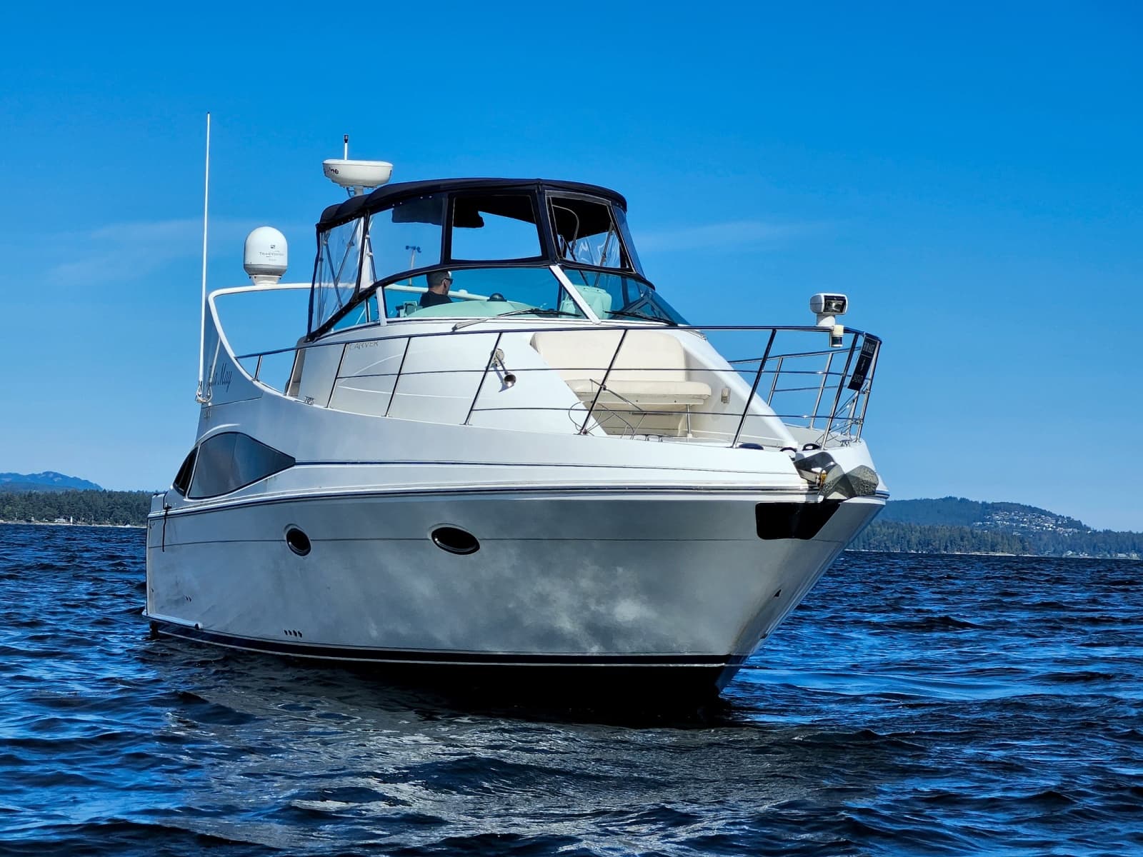 2007 Carver 36 Mariner - Photo 2