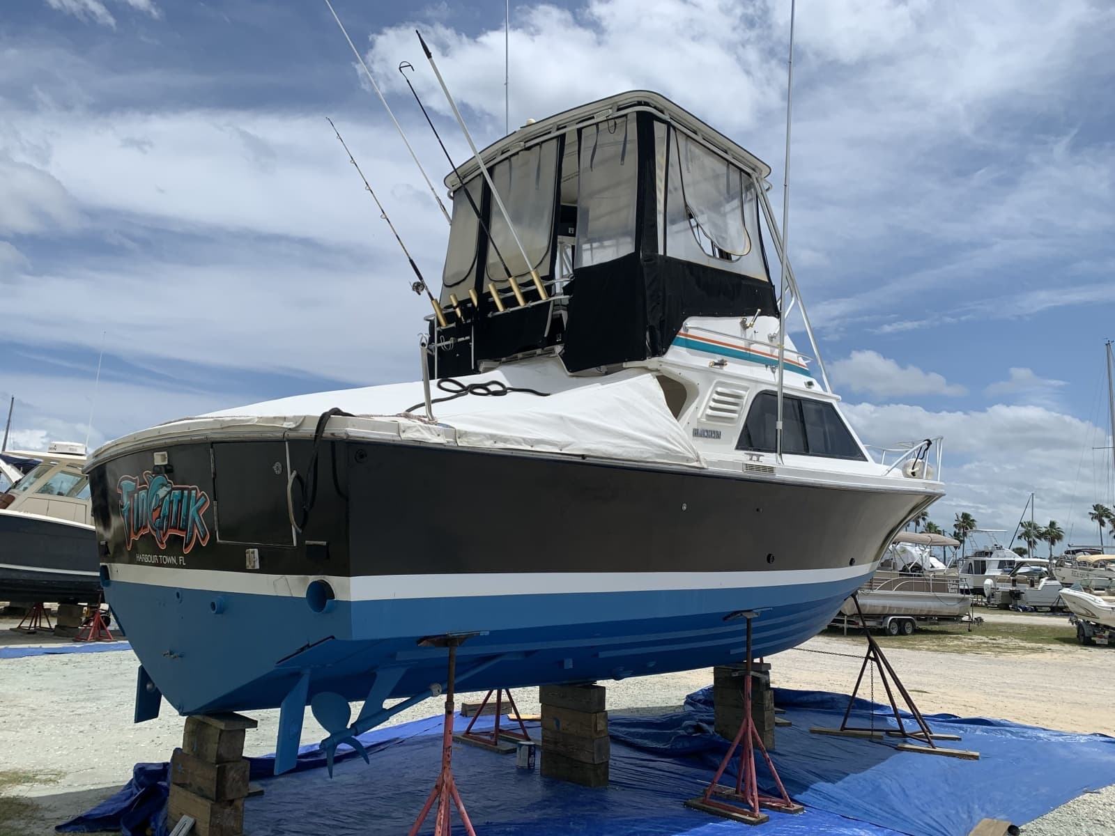 1991 Blackfin  - Photo 11
