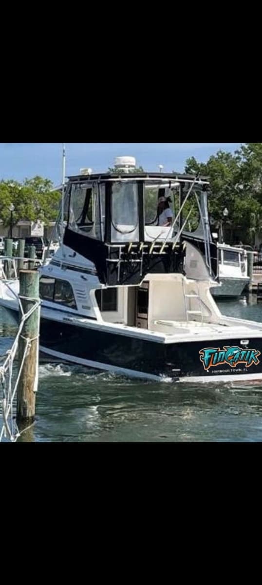 1991 Blackfin  - Photo 2
