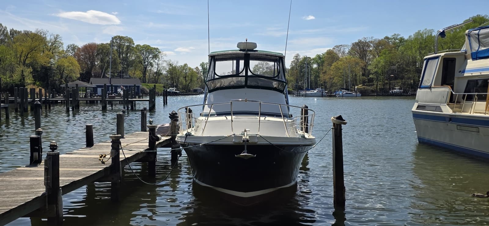 2001 Albin 32 + 2 Command Bridge - Photo 2