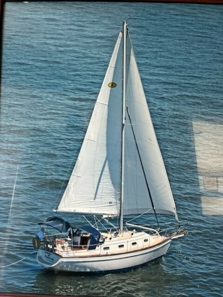 1999 Island Packet 320 - Photo 1