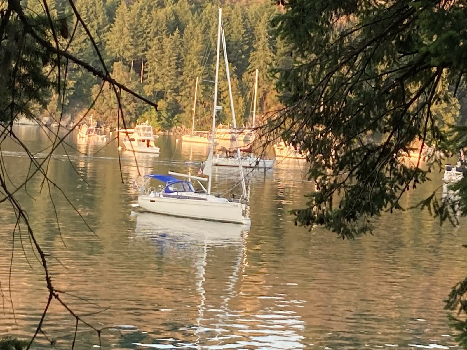 2021 Bavaria Cruiser 34 at anchor