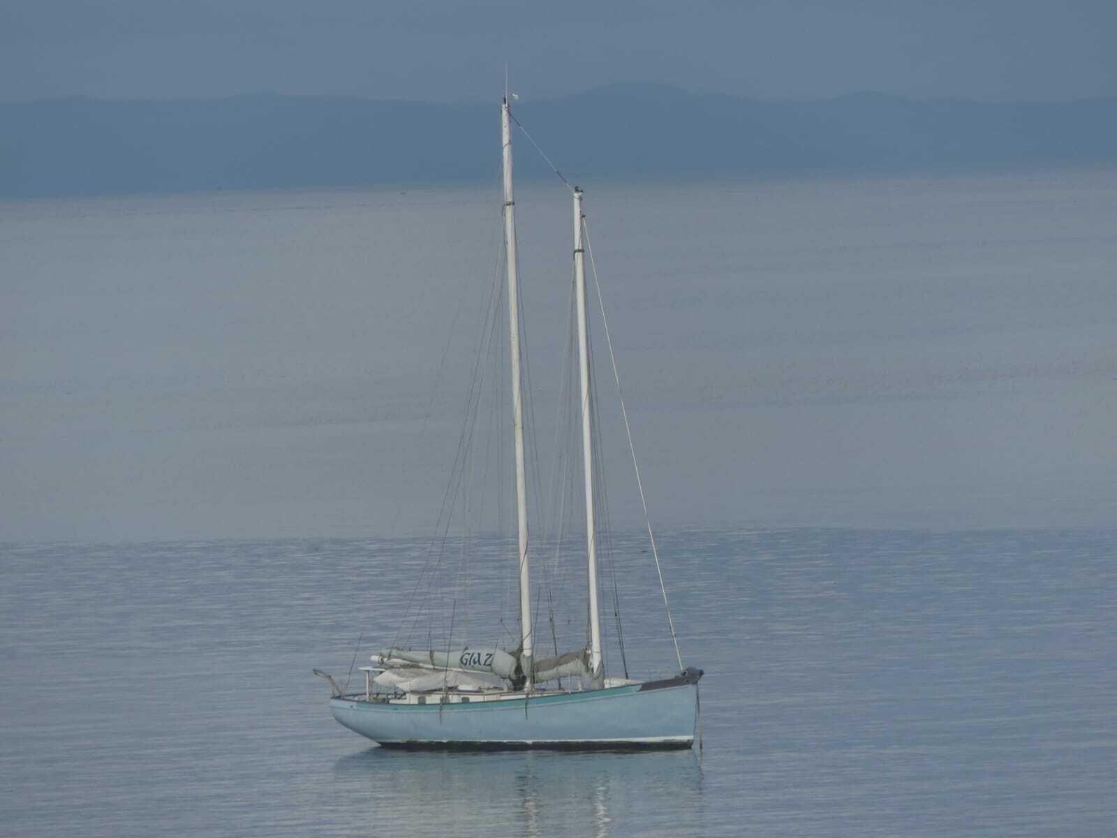 2010 Custom FS50 - Photo 2