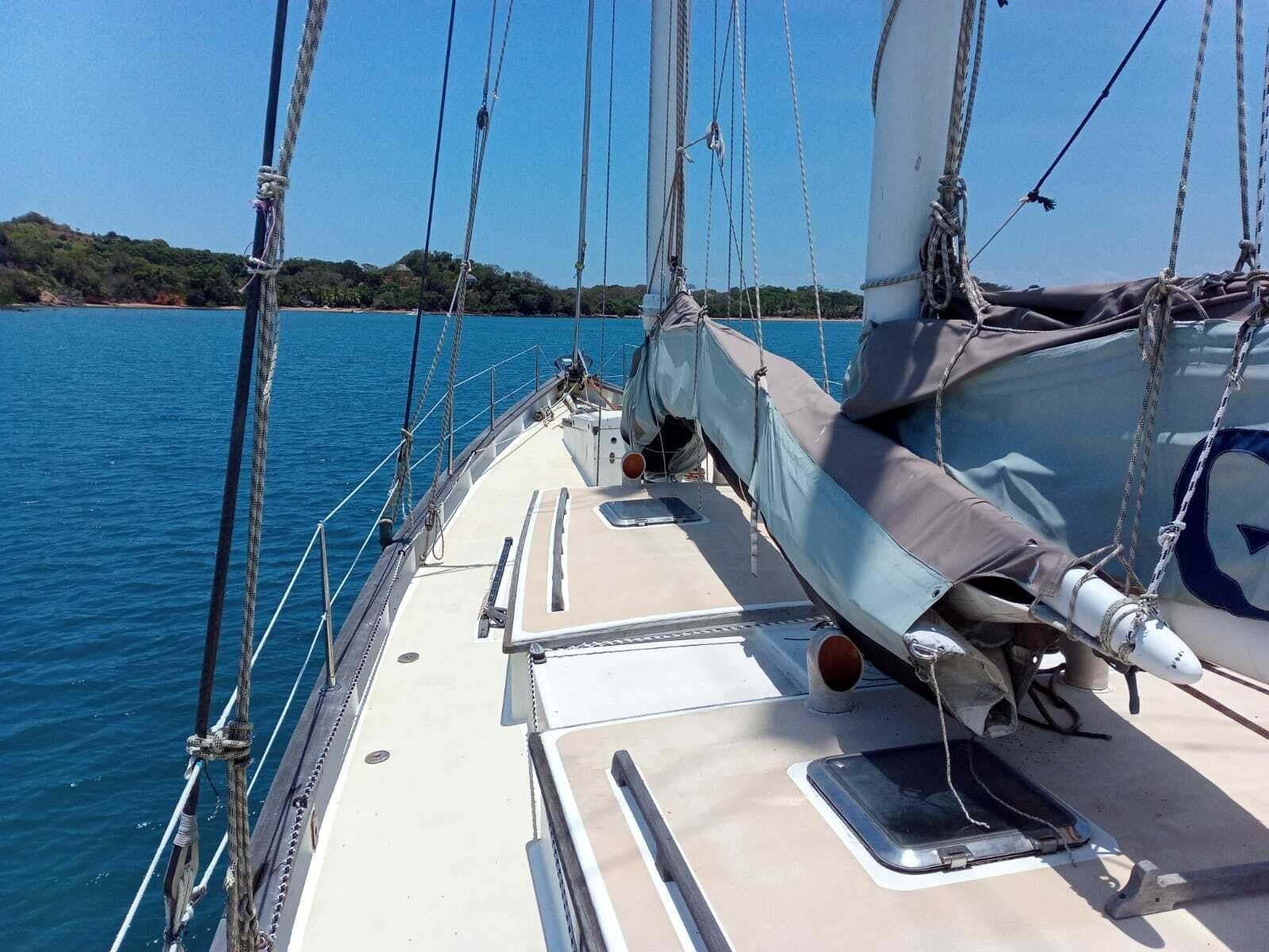 2010 Custom FS50 - Photo 4