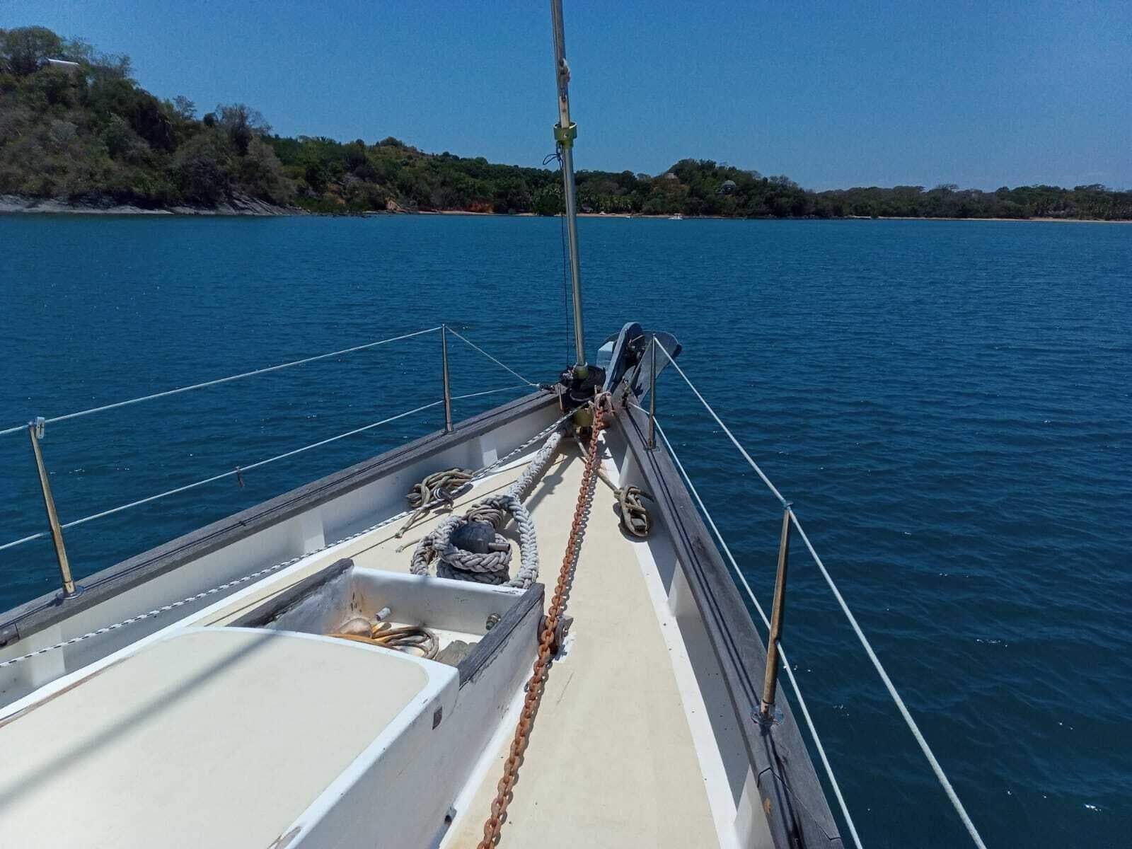 2010 Custom FS50 - Photo 5