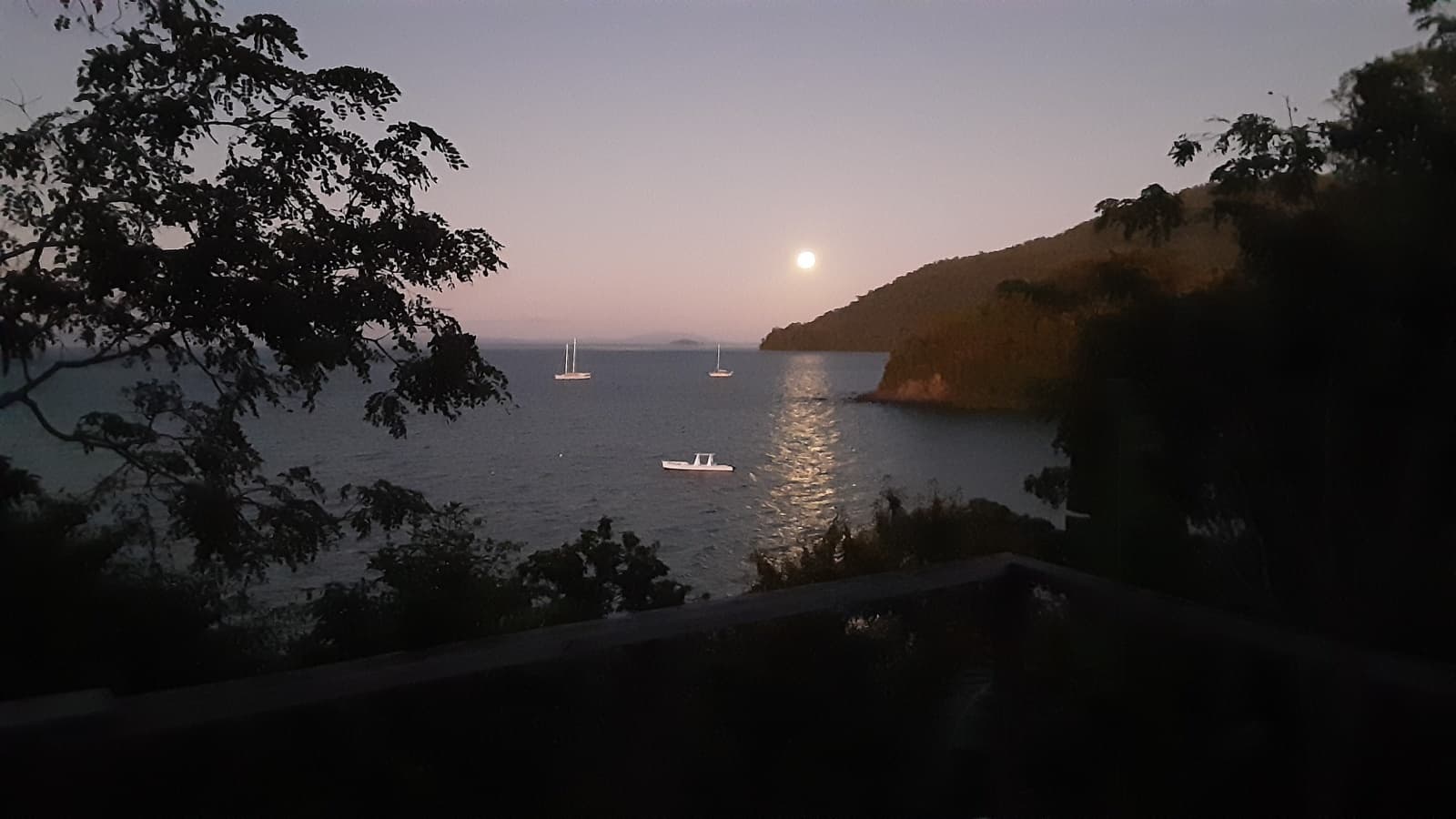 2010 Custom FS50 - Photo 16