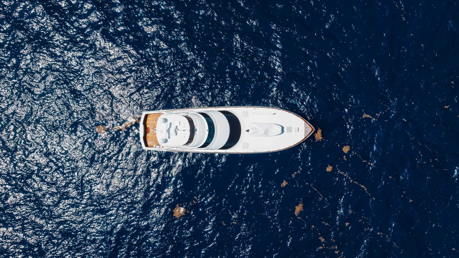 2016 Viking Skybridge - Photo 85