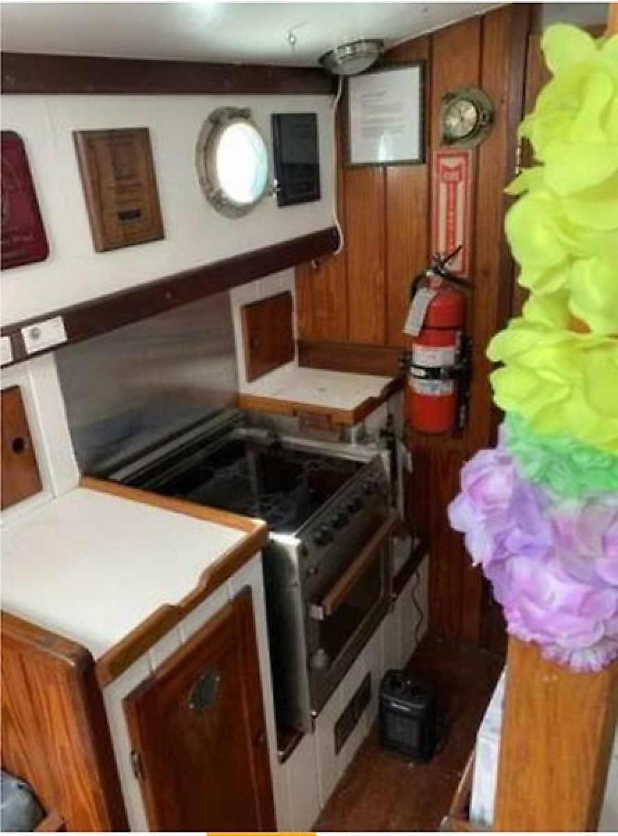 1979 Colvin Gazelle Gazelle - Photo 5