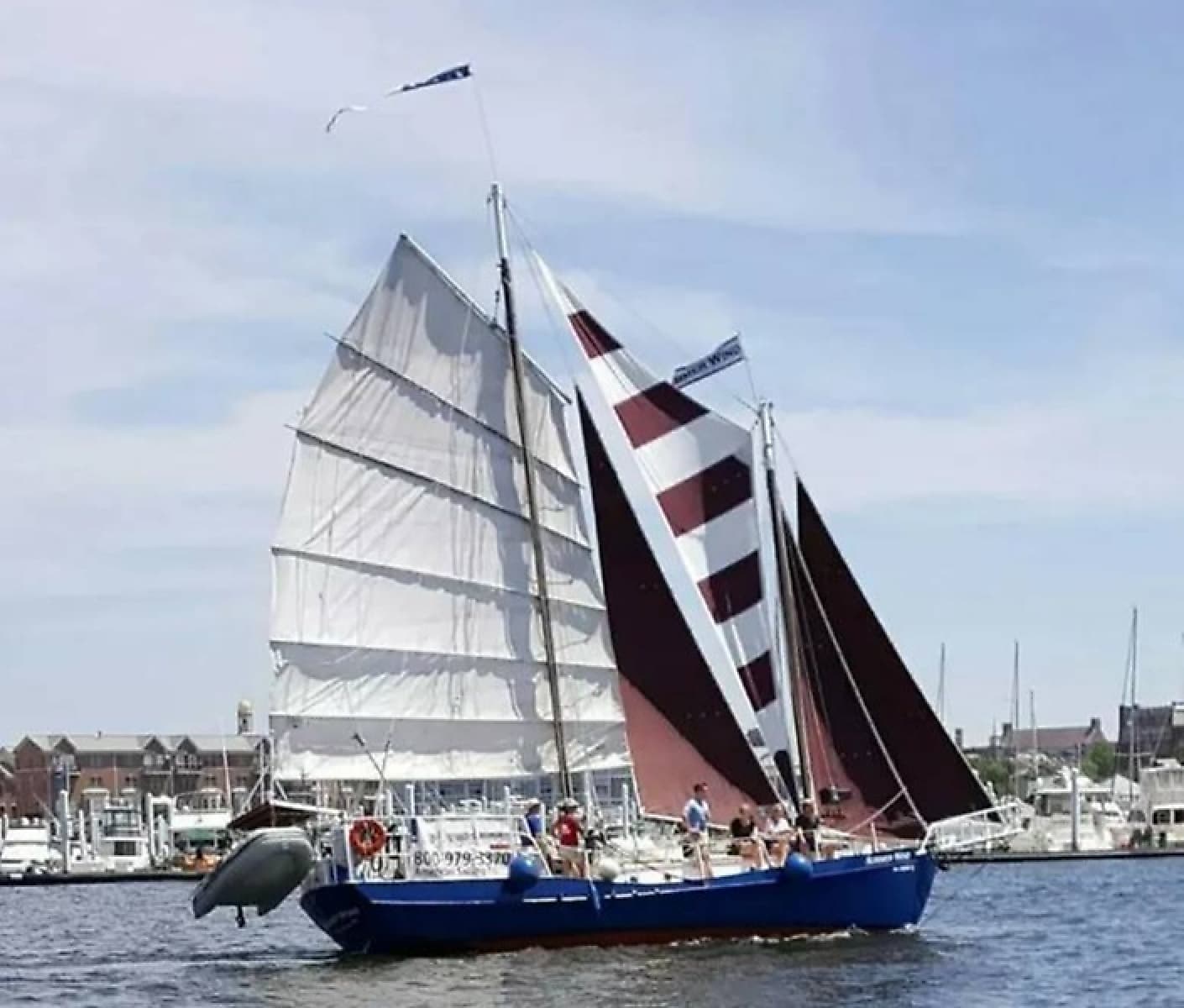 1979 Colvin Gazelle Gazelle - Photo 2