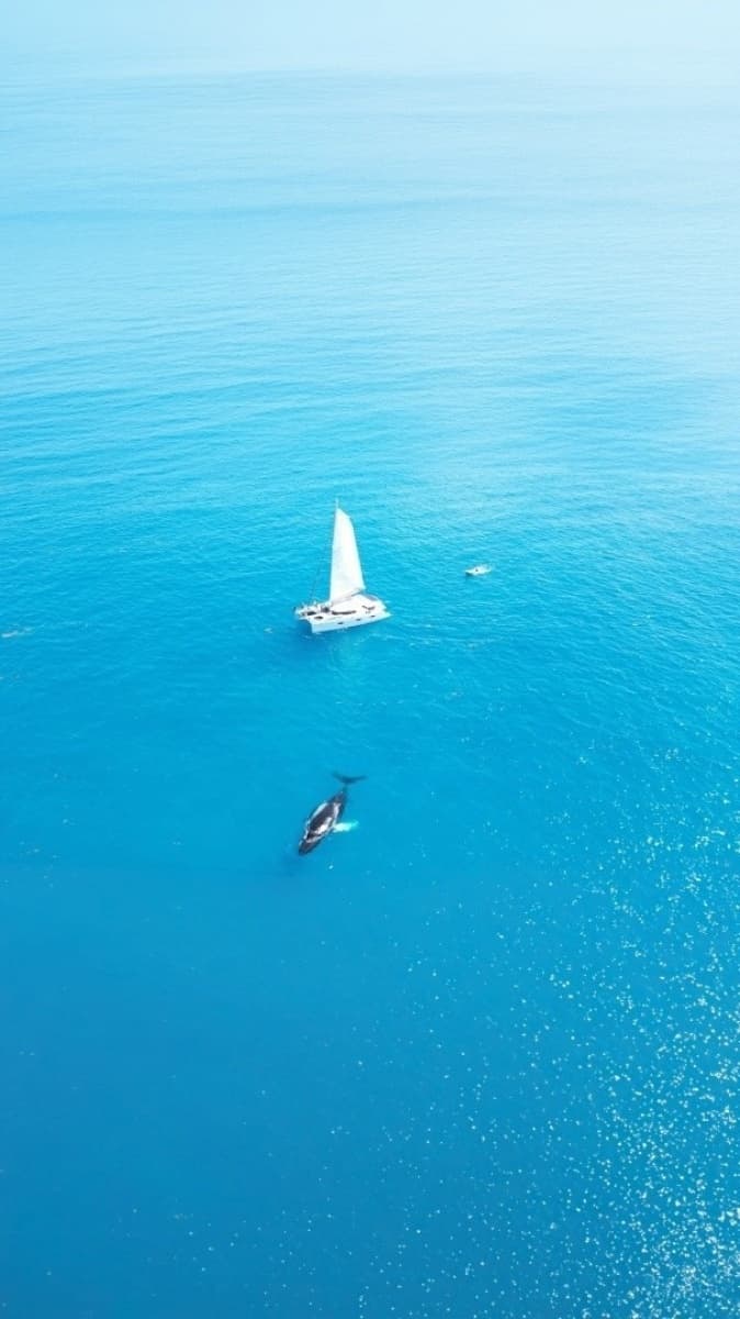 2013 Fountaine Pajot Sanya 57 - Photo 4