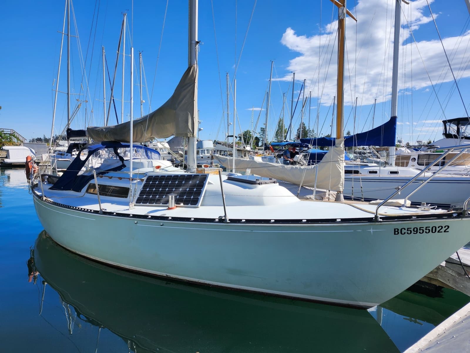 1982 C&C 30 - Photo 1