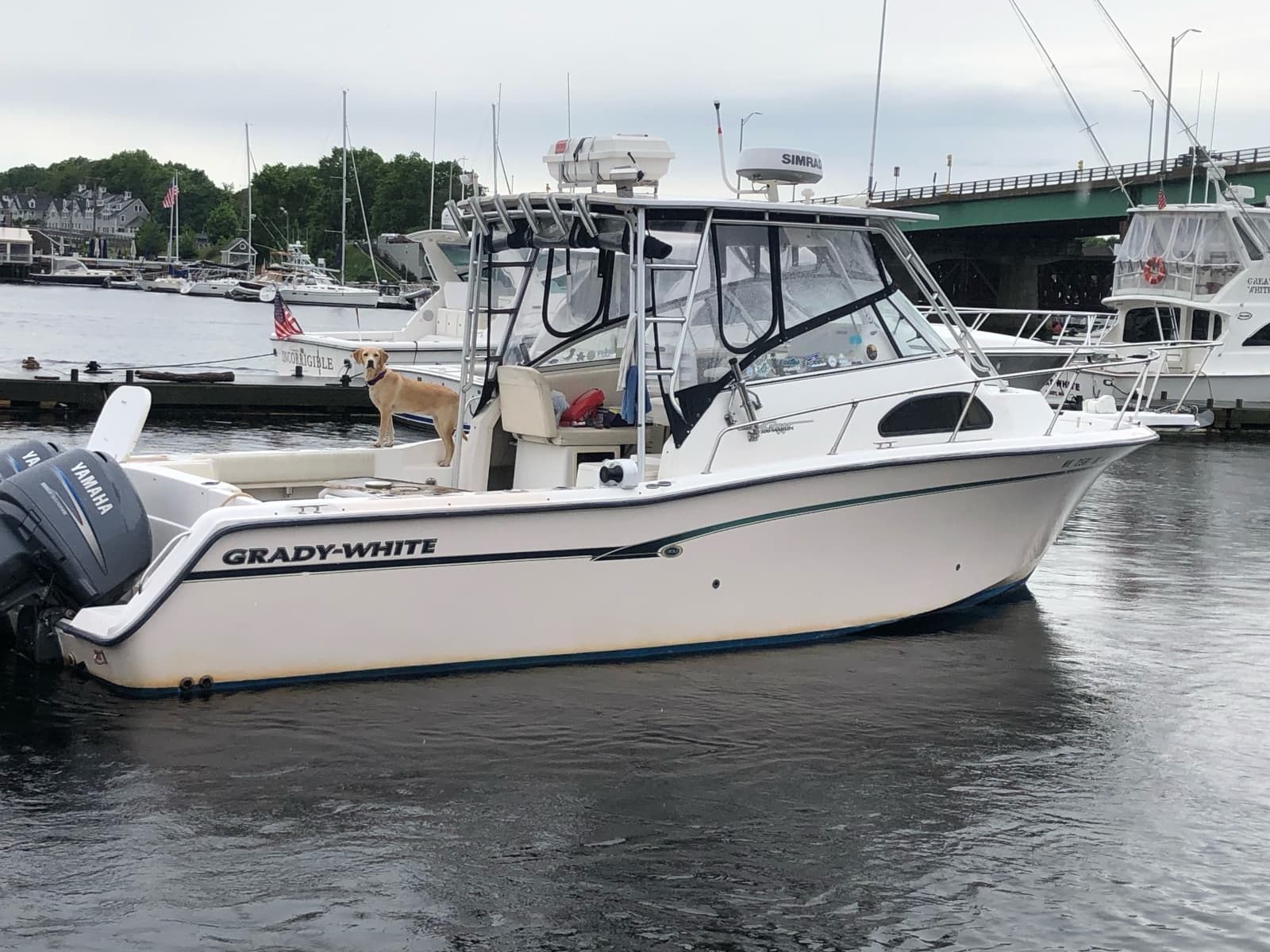 1999 Grady-White Marlin - Photo 4