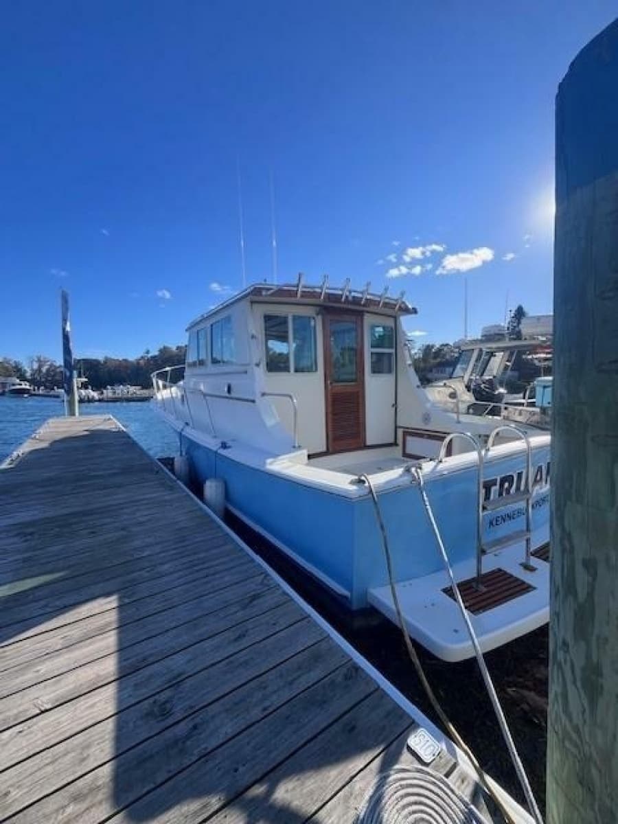 1989 Blue Seas Out Island Explorer - Photo 8