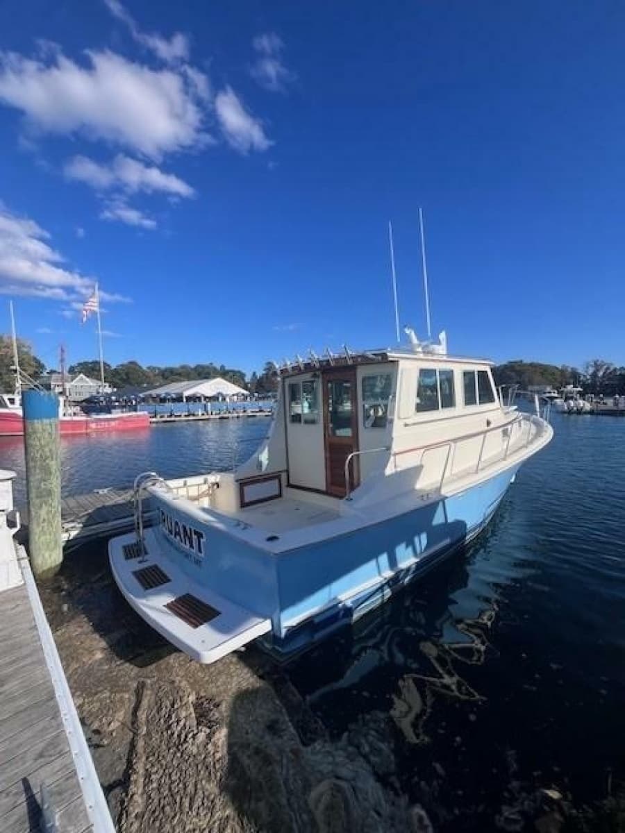 1989 Blue Seas Out Island Explorer - Photo 2
