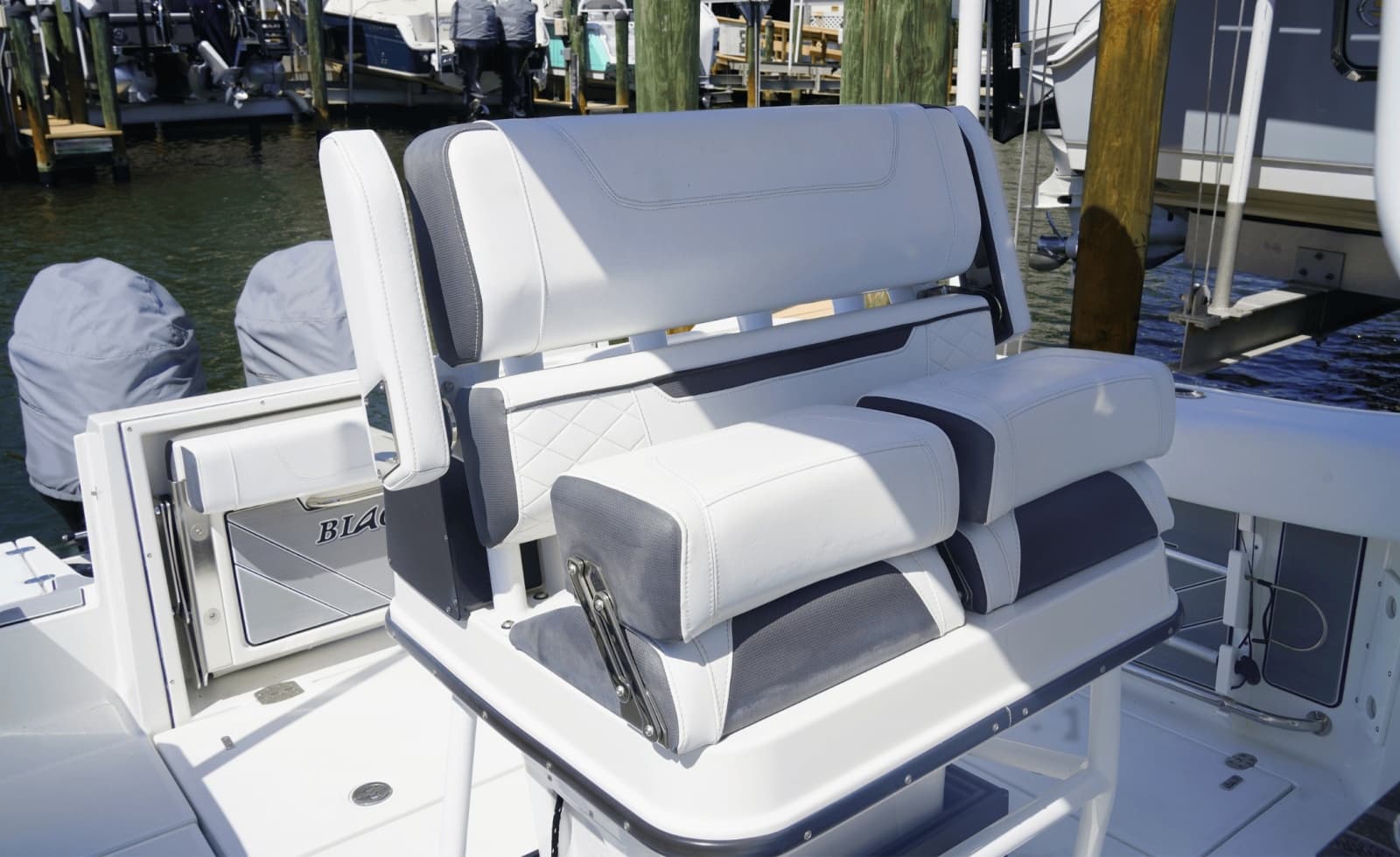 2021 Blackfin 252CC - Photo 15