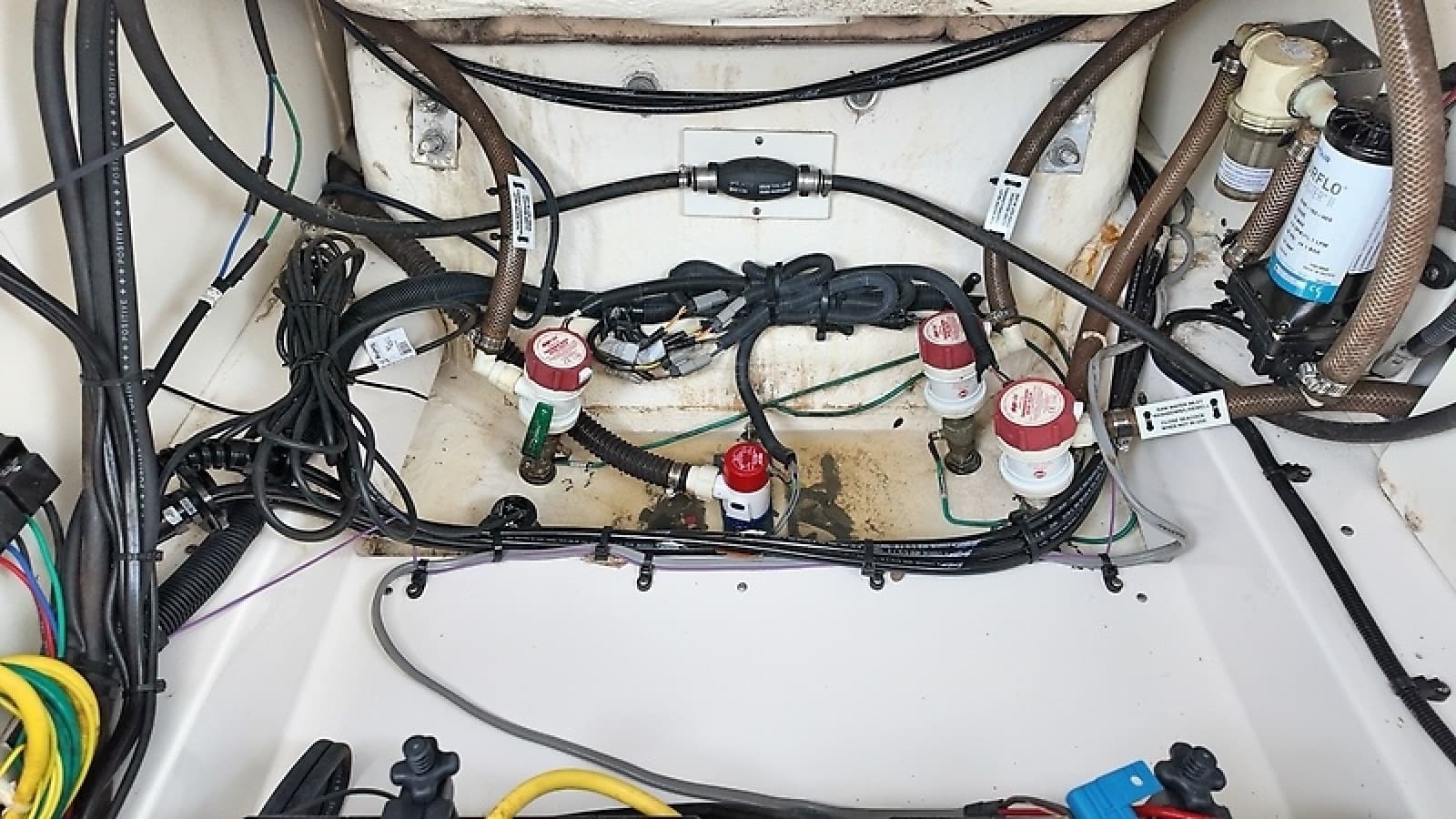 2021 Robalo 246 Cayman SD - Photo 43
