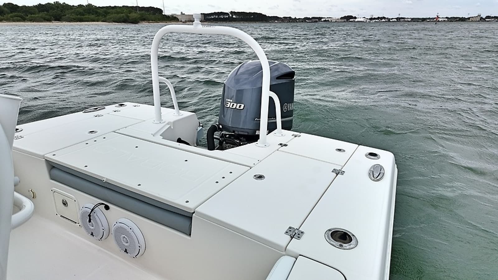 2021 Robalo 246 Cayman SD - Photo 27