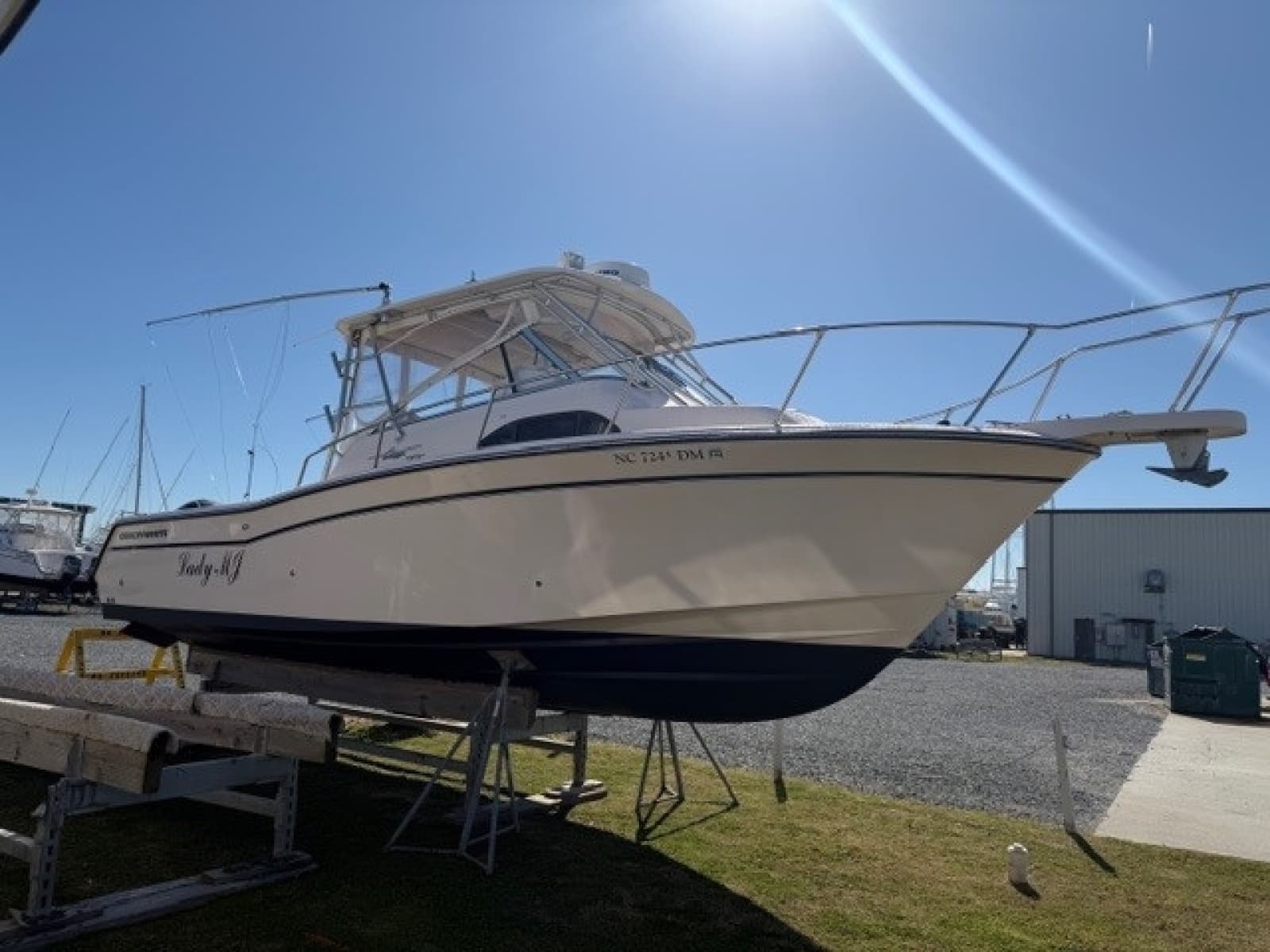 2007 Grady-White 300 Marlin - Photo 3