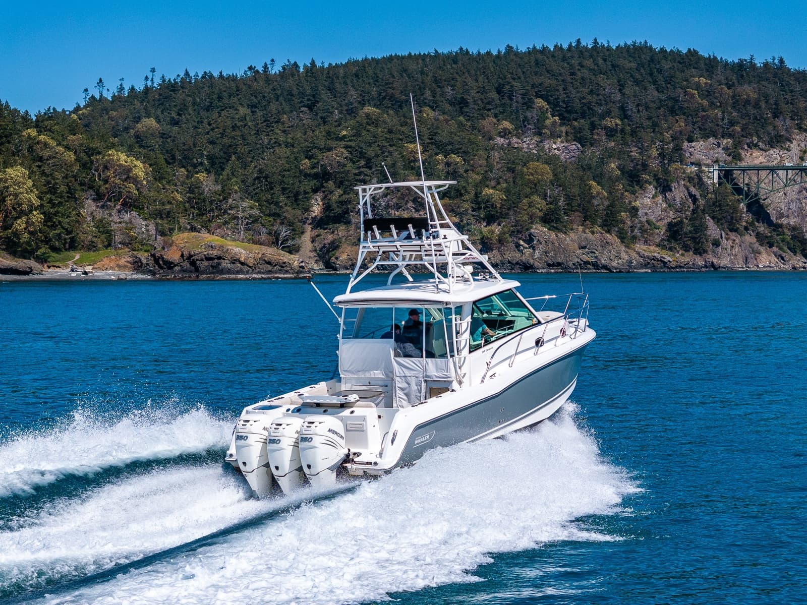 2019 Boston Whaler 345 Conquest - Photo 3
