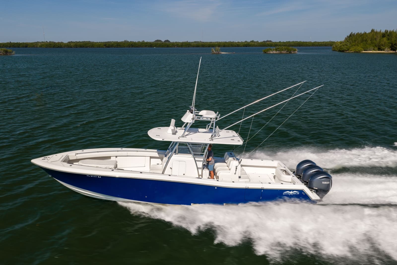 2015 Invincible  - Photo 59