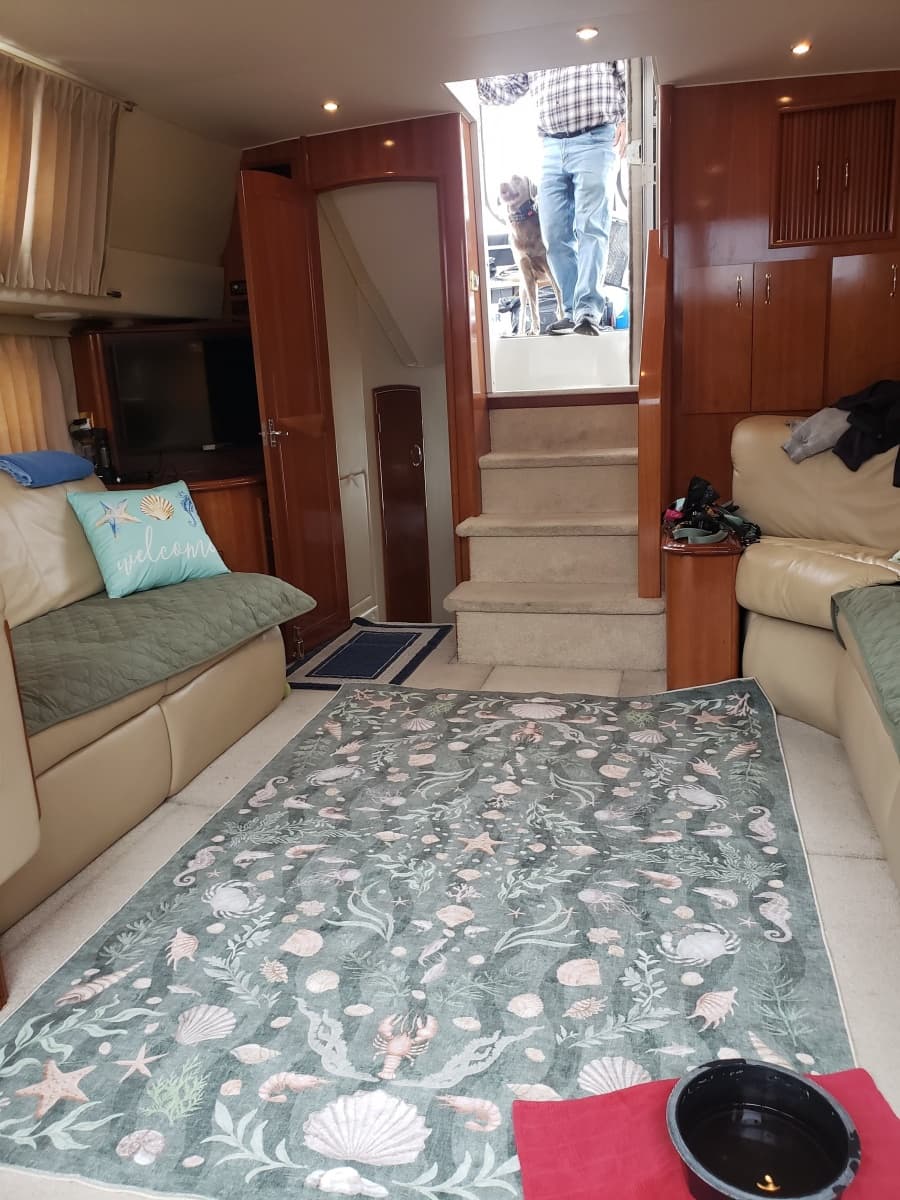 2005 Carver 444 Motor Yacht - Photo 8