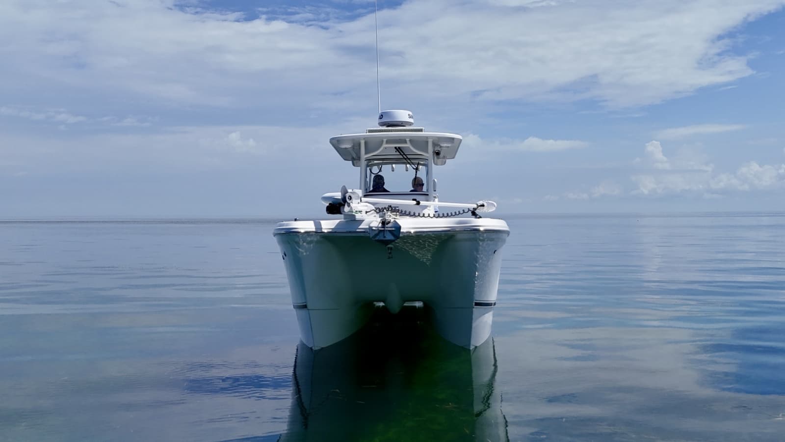2021 World Cat 295 CC - Photo 64