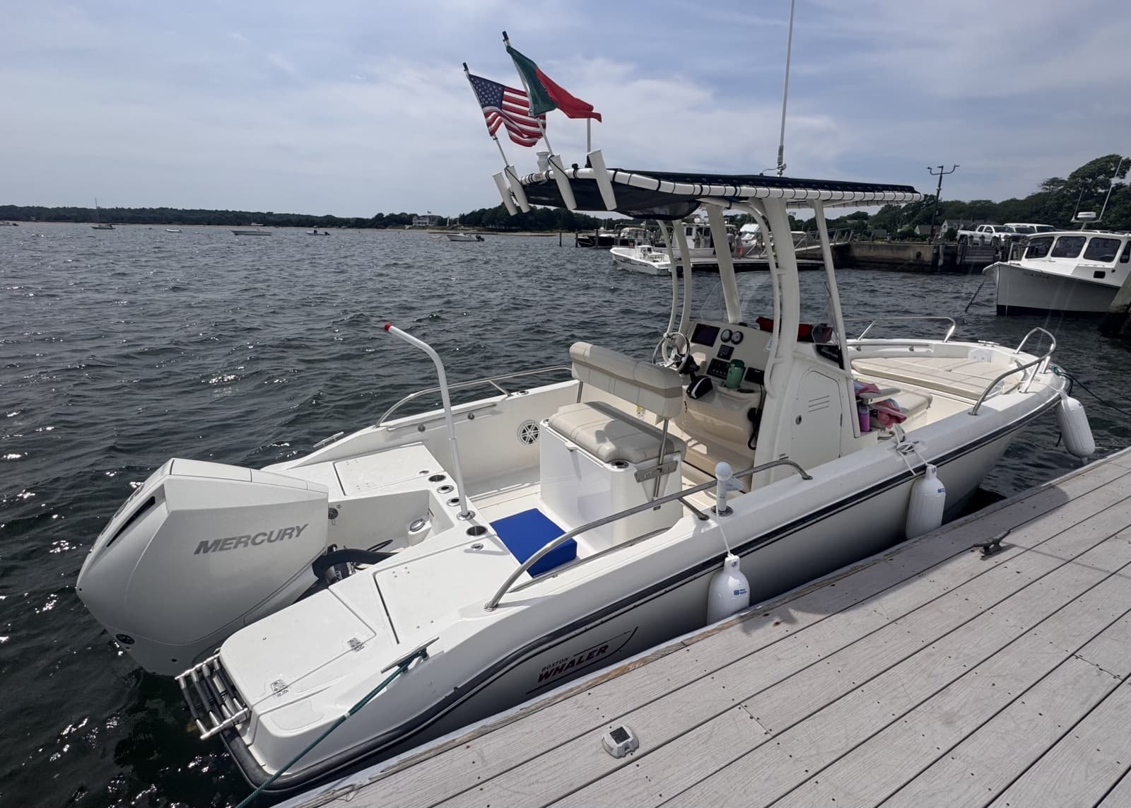 2023 Boston Whaler 220 Dauntless - Photo 5