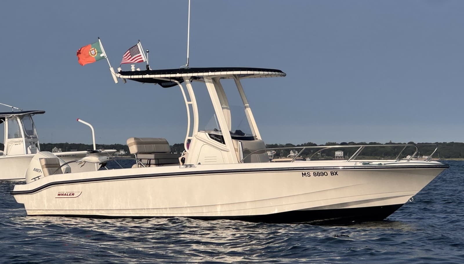 2023 Boston Whaler 220 Dauntless - Photo 4