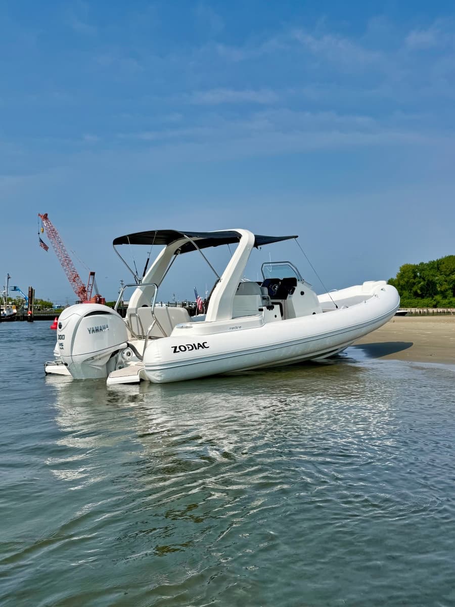 2026 Zodiac  - Photo 5