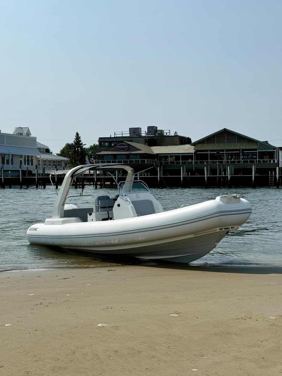 2026 Zodiac  - Photo 3