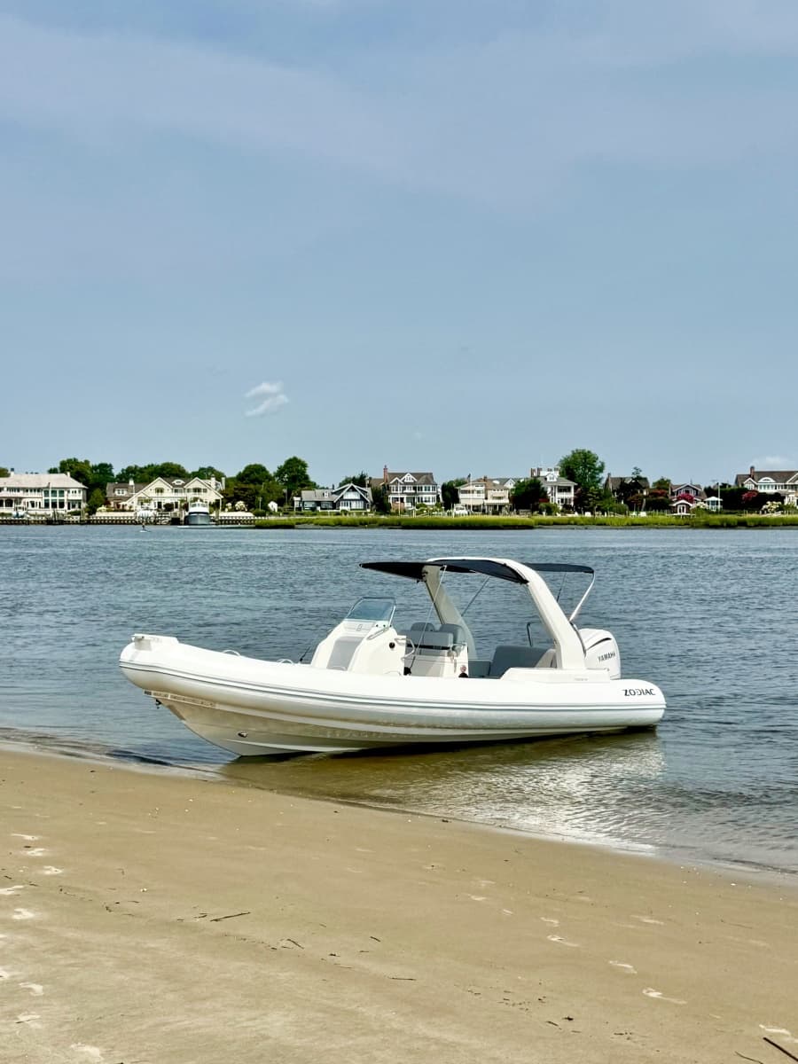 2026 Zodiac  - Photo 20