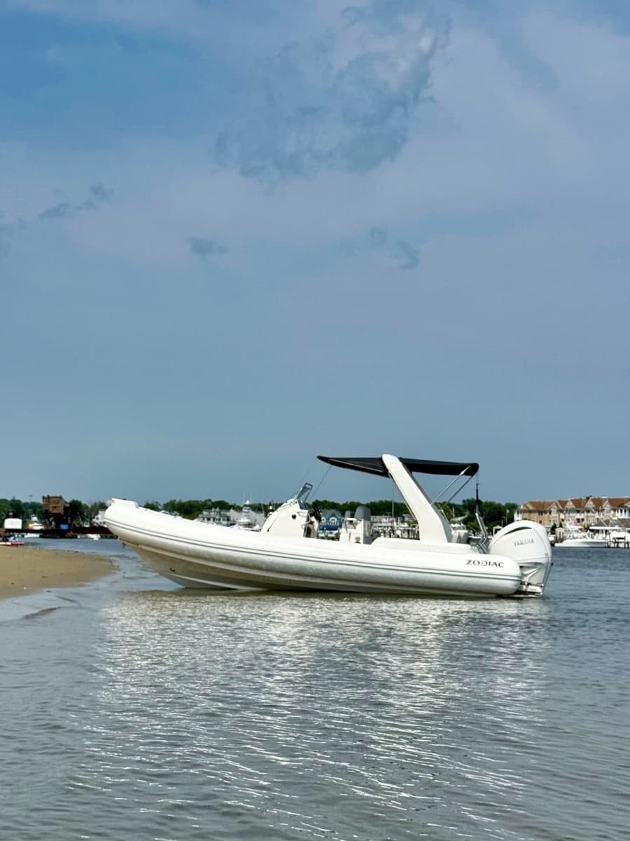 2026 Zodiac  - Photo 10