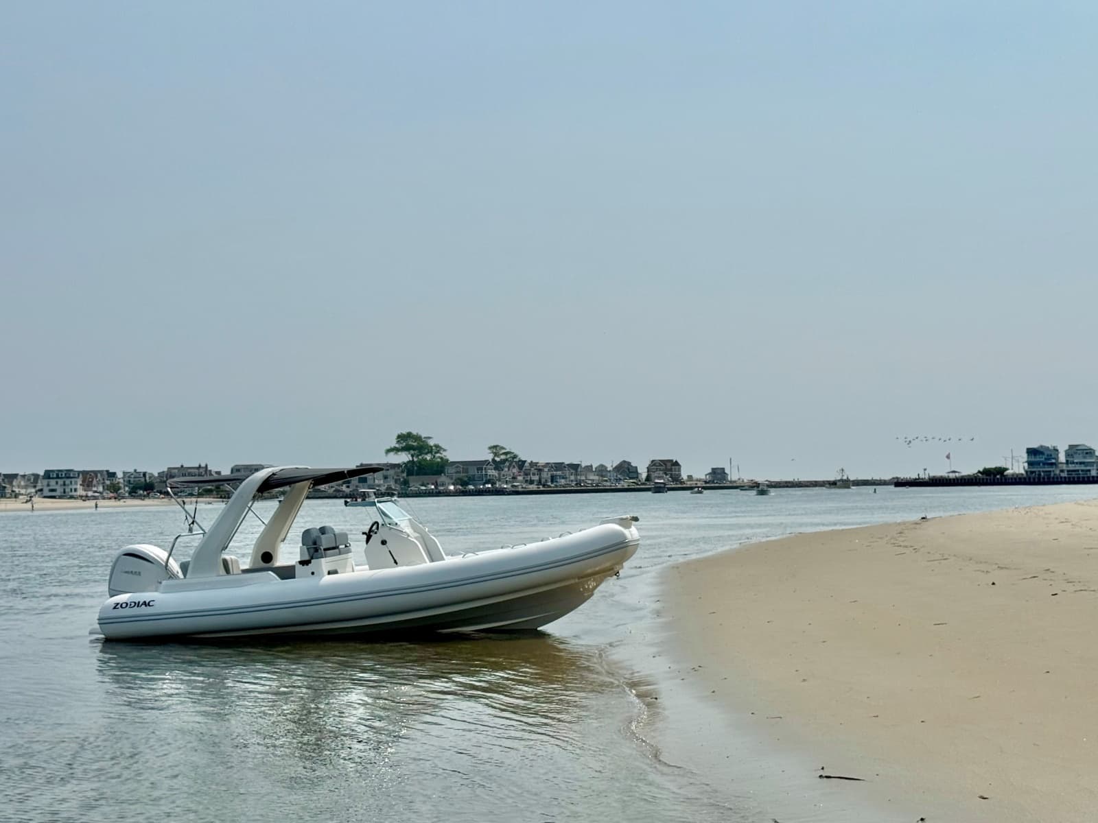 2026 Zodiac  - Photo 15