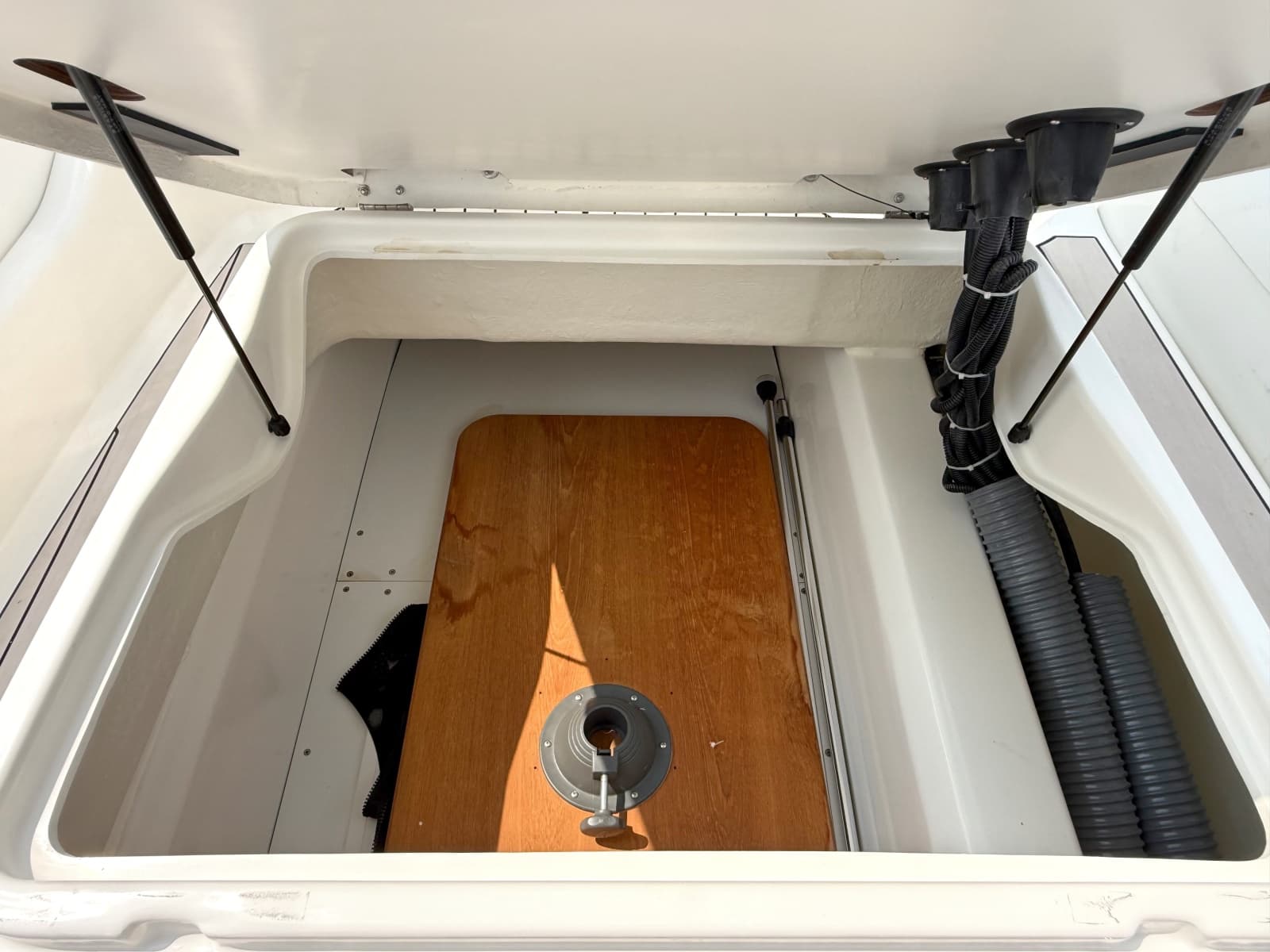 2026 Zodiac  - Photo 46