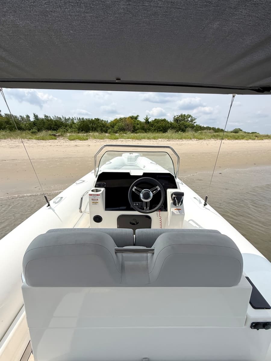 2026 Zodiac  - Photo 51